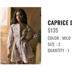 Sezane Caprice Dress in Multicolor